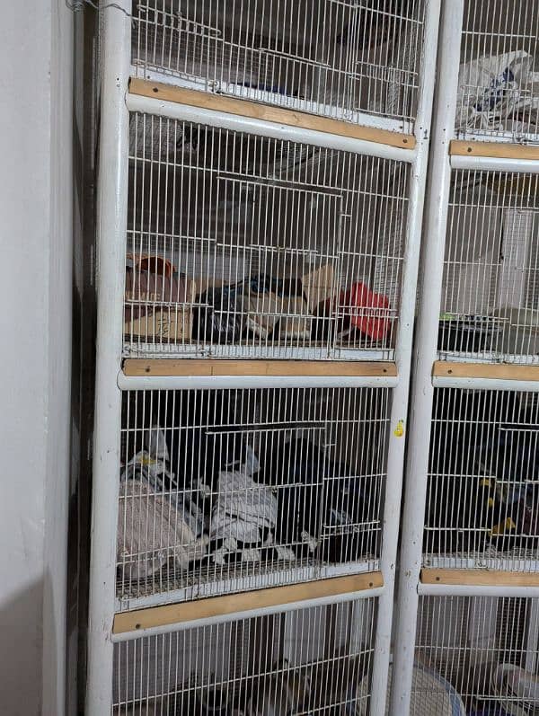 Brids cage 8