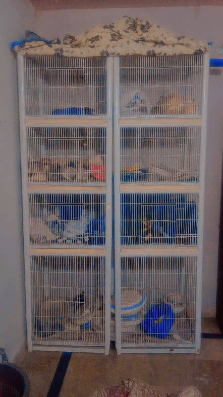 Brids cage 11