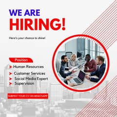 Fresh & Experience staff for our Company Project