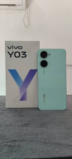 Vivo