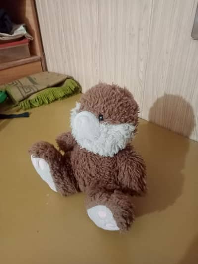 teddy bear for kids.