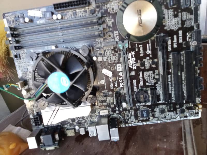 ASUS Motherboard/Processor 1