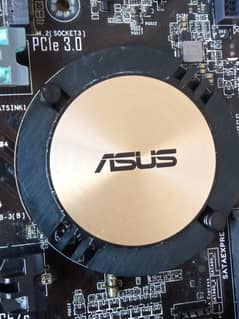 ASUS Motherboard/Processor