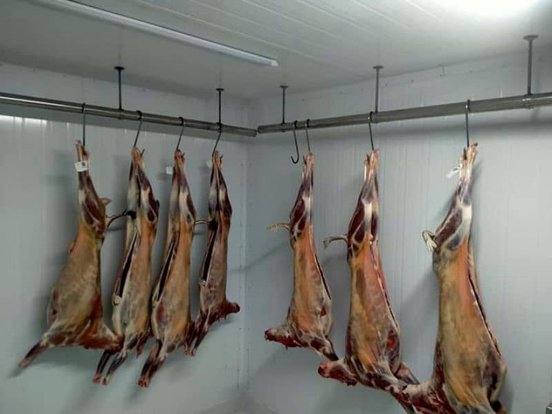 | cold storage | blast freezer | cold room| reefer | refrigeration | 1