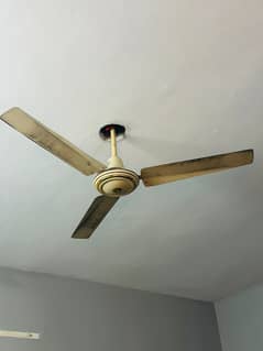 Ceiling Fan