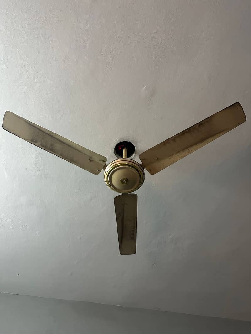 Ceiling Fan 1