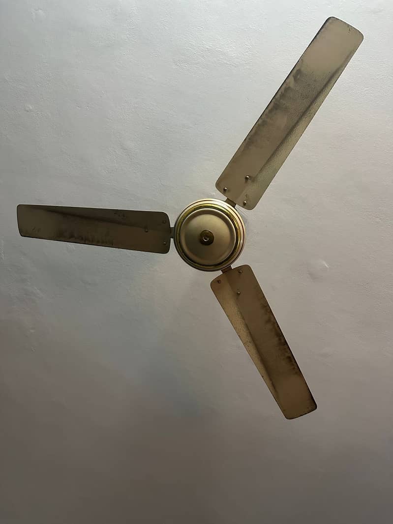 Ceiling Fan 2