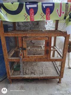 birds cage for sale