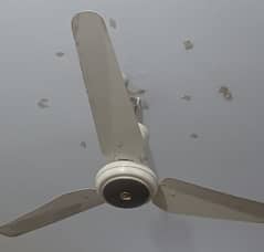 Roof fans