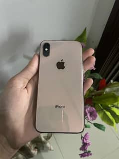 iphone xs pta approved