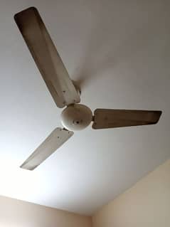 Fans for sale