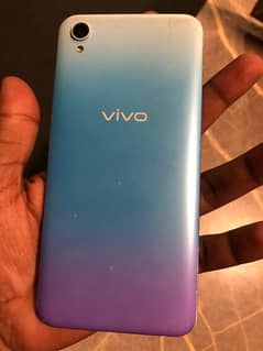 vivo