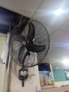 fan