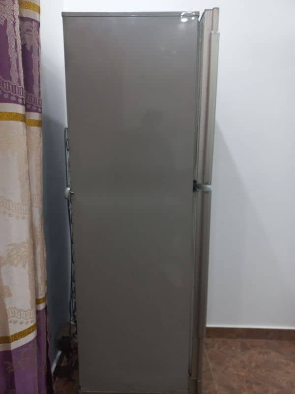 PEL jumbo size refrigerator 1