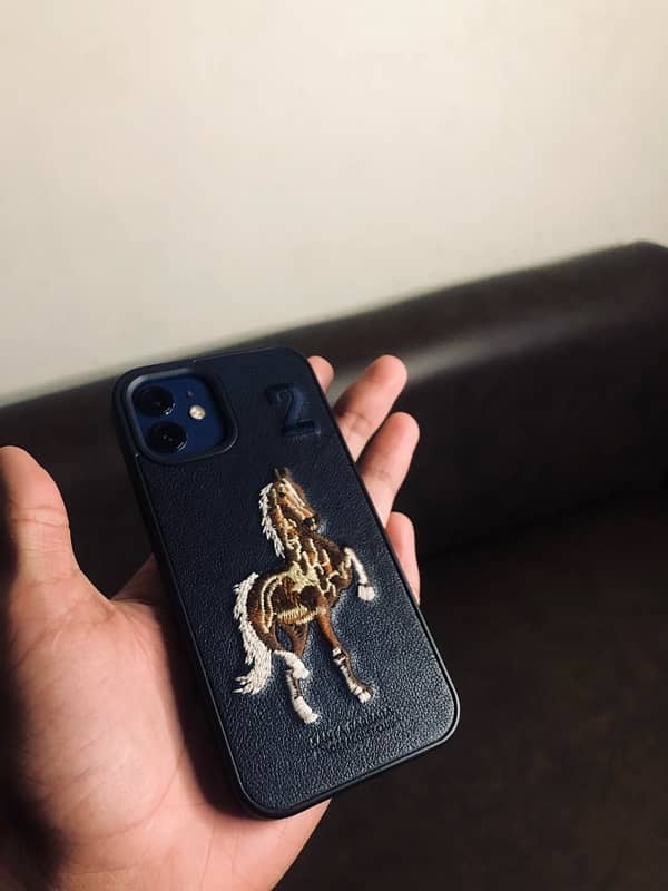 iPhone 12_Waterpack_81 BH_64GB_98score 3u tool_exchange possible 5