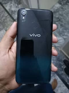 Vivo