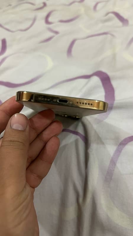 iphone 13 pro Max (Golden) 3