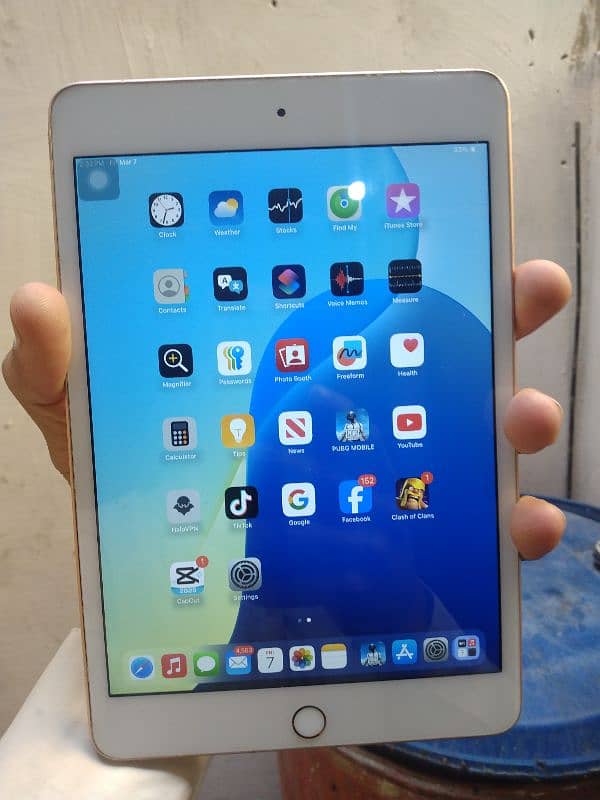 Ipad mini 5 0