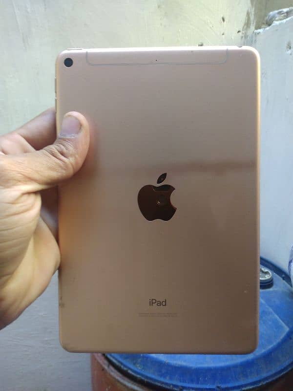 Ipad mini 5 1