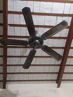 Celling fan 5 par ky sath