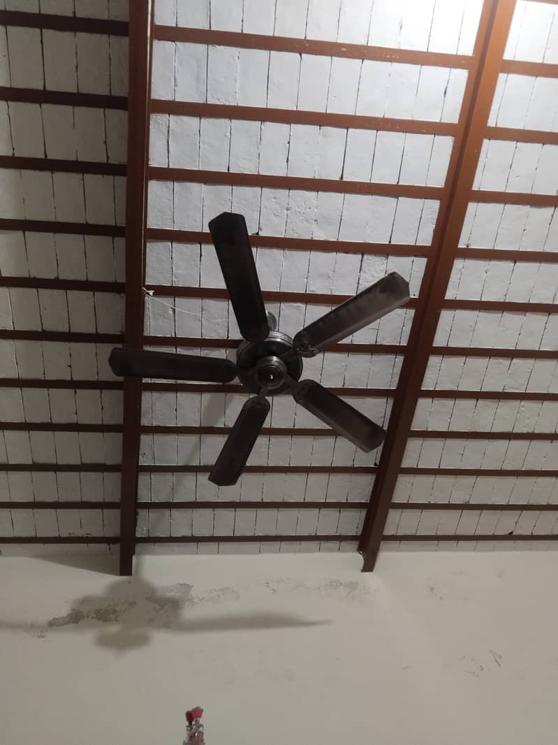 Celling fan 5 par ky sath 1