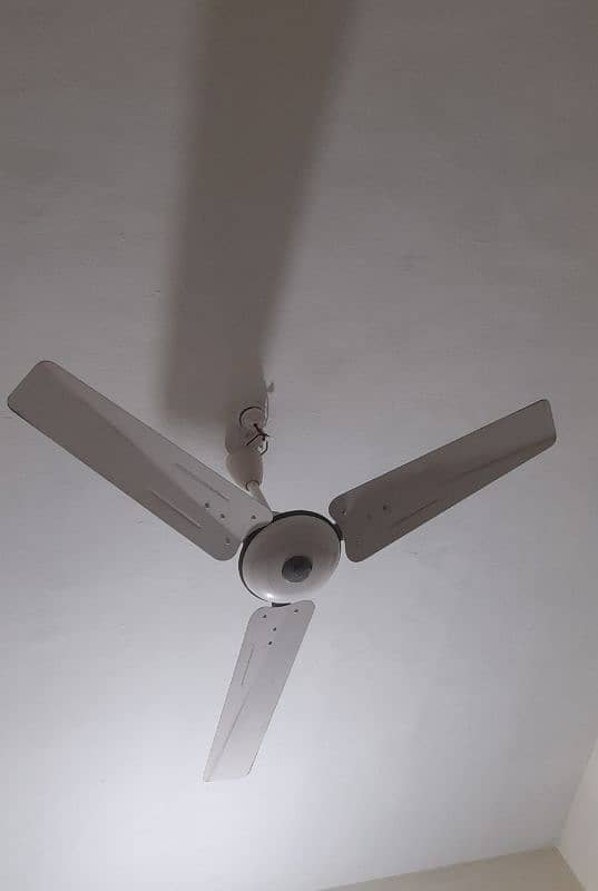 Ceiling Fan 1