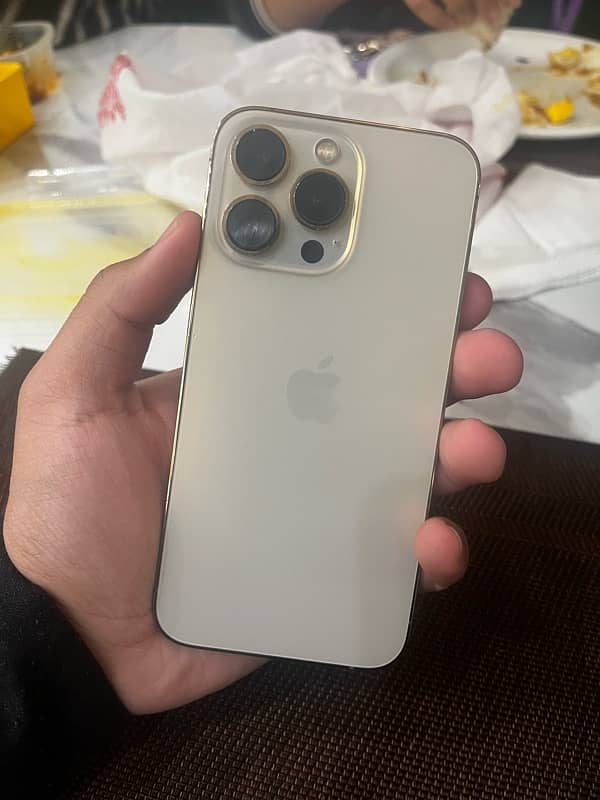 iPhone 13 Pro 1