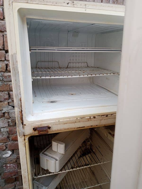 Fridge 10/8 1