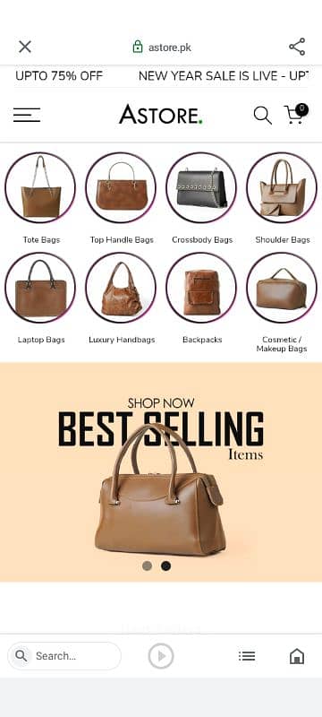 trendy and branded bags 13