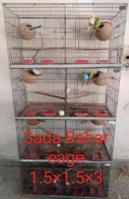 Cages for sale 3
