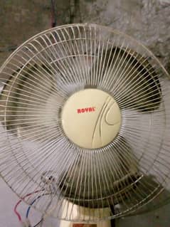 Royal Bracket fan available