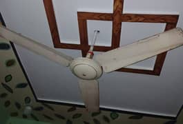 selling fan