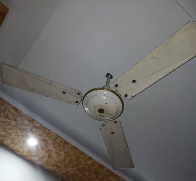 selling fan 1