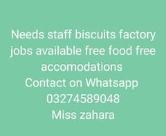 Jobs offer