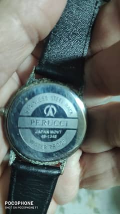 Perucci watch