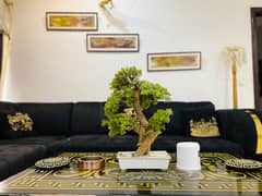 Vip furnished apartment daily basis and monthly basis for rent bahria town lahore