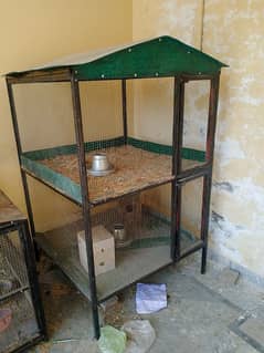 Aseel breeder cage