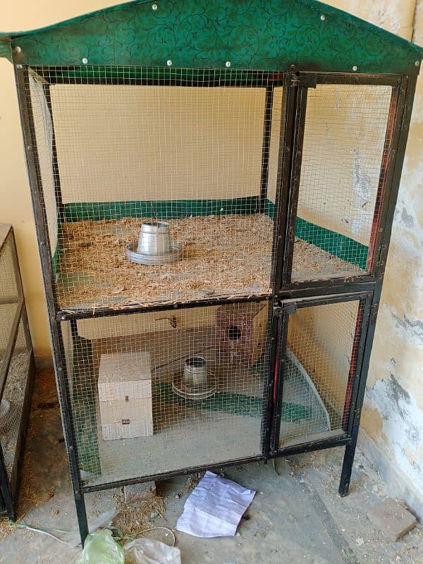 Aseel breeder cage 1