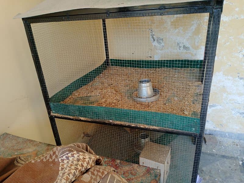 Aseel breeder cage 2