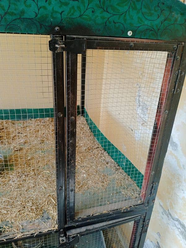 Aseel breeder cage 4