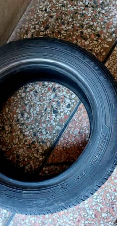 DUNLOP Tyres(155/65/ R-13)