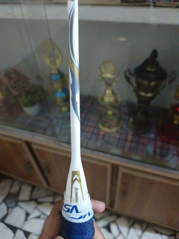 Kawasaki badminton 3
