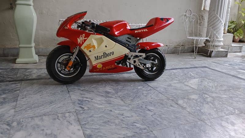 Pocket bike for sale 1