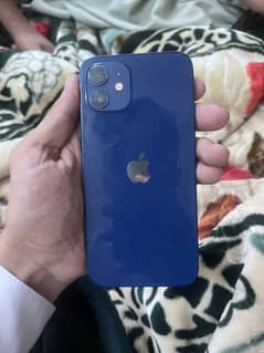 Apple iPhone 12