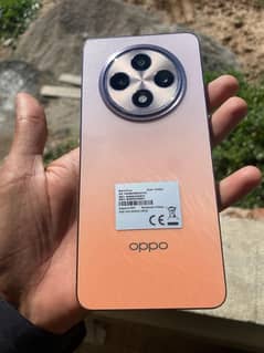 oppo reno 12f brand new