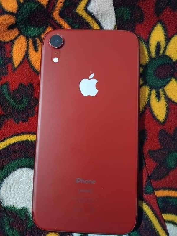 iPhone XR pta approve 1