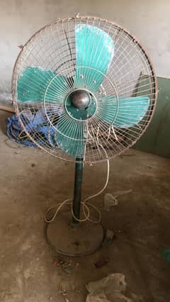 Pedestal Fans