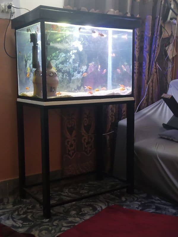 3 completed aquarium for sale 1