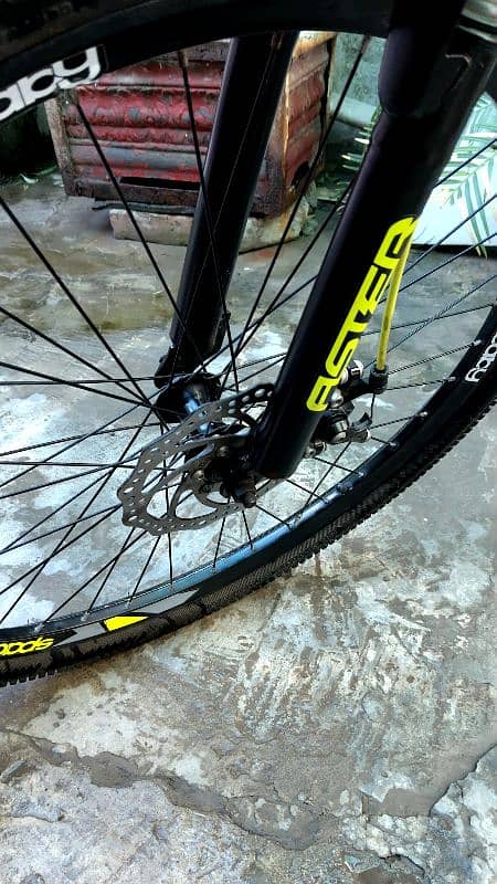 speed baby disc brakes and front ashokes   (   26") 3
