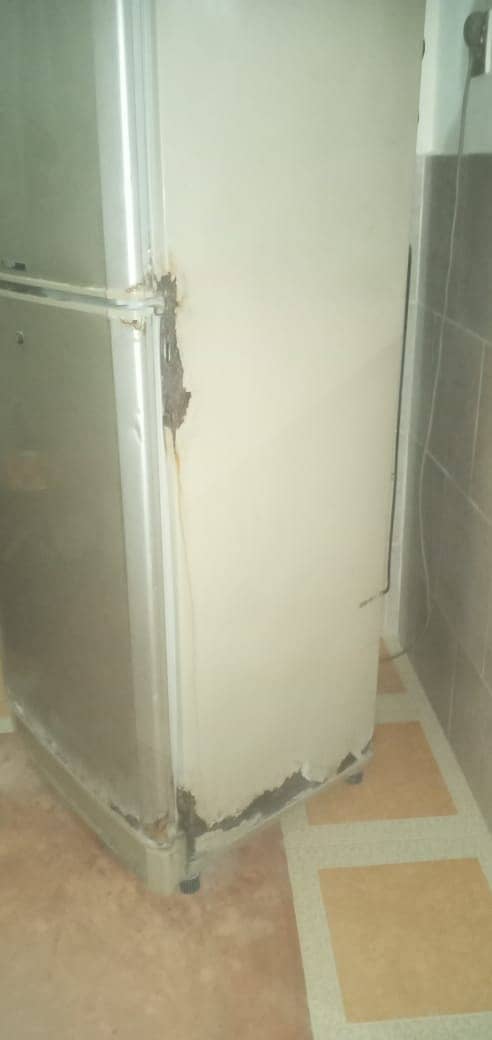 Pel Refrigerator in Working Condition 1